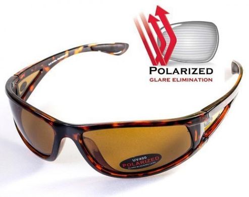 Темні окуляри з поляризацією BluWater Florida-3 polarized (brown) 1 купити