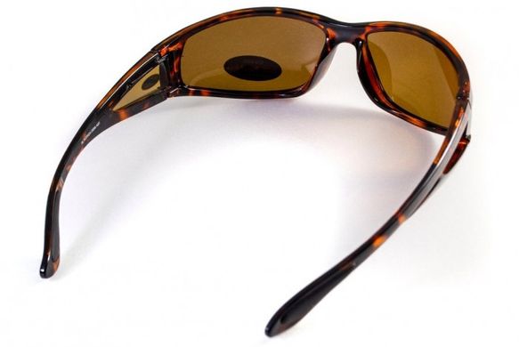 Темні окуляри з поляризацією BluWater Florida-3 polarized (brown) 4 купити