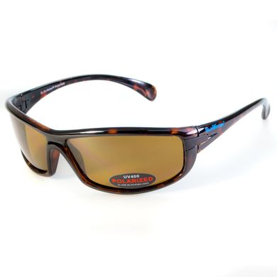 Темные очки с поляризацией BluWater Florida-4 polarized (brown) 1 купить
