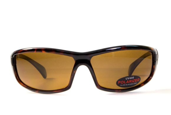 Темні окуляри з поляризацією BluWater Florida-4 polarized (brown) 3 купити