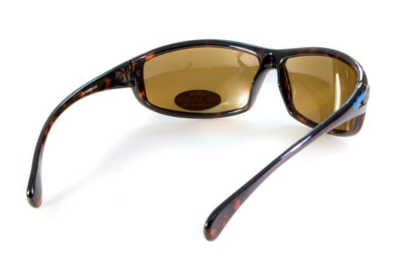 Темные очки с поляризацией BluWater Florida-4 polarized (brown) 2 купить