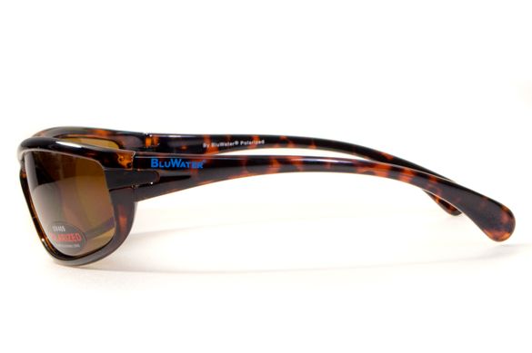 Темні окуляри з поляризацією BluWater Florida-4 polarized (brown) 4 купити