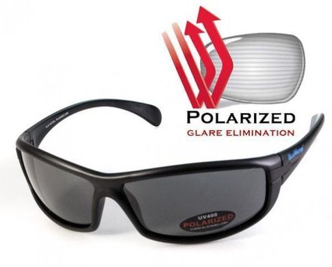 Темні окуляри з поляризацією BluWater Florida-4 polarized (gray) 1 купити
