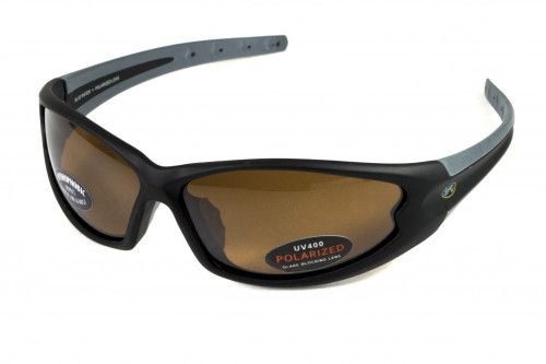 Темні окуляри з поляризацією BluWater Daytona-4 polarized (brown) в чорно сірій оправі 5 купити