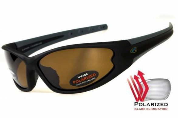 Темні окуляри з поляризацією BluWater Daytona-4 polarized (brown) в чорно сірій оправі 1 купити