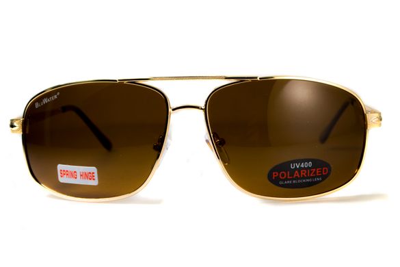 Темні окуляри з поляризацією BluWater Navigator (brown) (gold metal) Polarized 10 купити