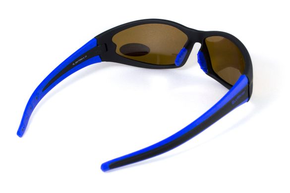 Темные очки с поляризацией BluWater Daytona-4 polarized (brown) в черно-синей оправе 2 купить