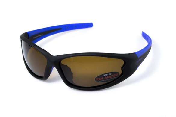 Темные очки с поляризацией BluWater Daytona-4 polarized (brown) в черно-синей оправе 3 купить