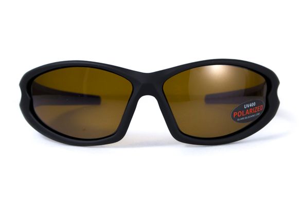 Темні окуляри з поляризацією BluWater Daytona-4 polarized (brown)в чорно-синій оправі 6 купити