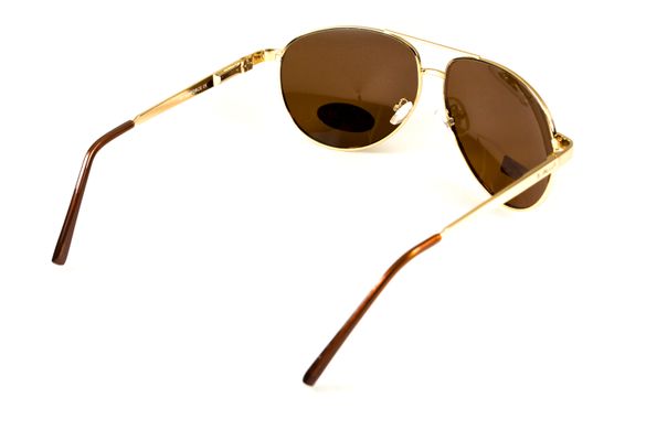 Темные очки с поляризацией BluWater Airforce (brown) (gold metal) Polarized 9 купить