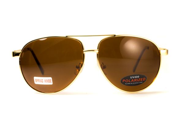 Темные очки с поляризацией BluWater Airforce (brown) (gold metal) Polarized 7 купить