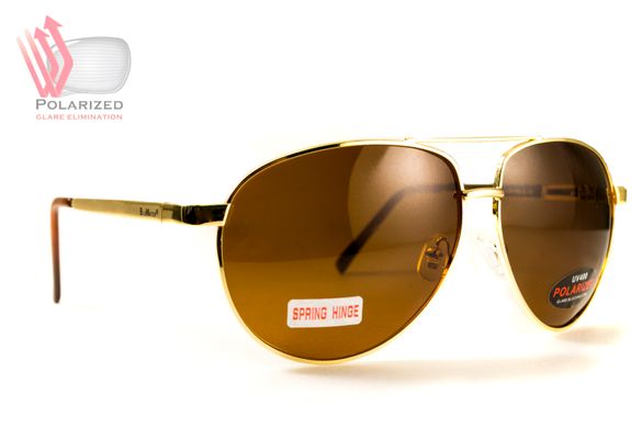Темні окуляри з поляризацією BluWater Airforce (brown) (gold metal) Polarized 1 купити