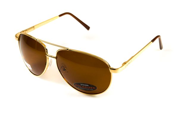 Темні окуляри з поляризацією BluWater Airforce (brown) (gold metal) Polarized 10 купити