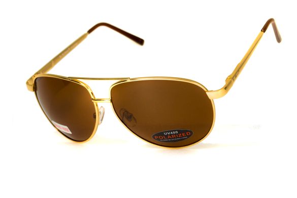 Темные очки с поляризацией BluWater Airforce (brown) (gold metal) Polarized 2 купить