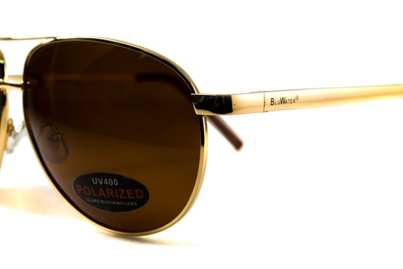 Темные очки с поляризацией BluWater Airforce (brown) (gold metal) Polarized 8 купить