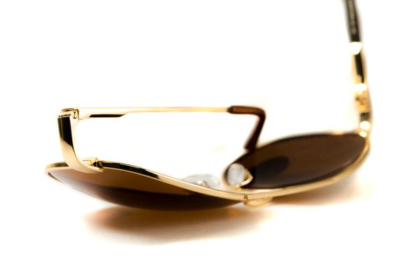 Темные очки с поляризацией BluWater Airforce (brown) (gold metal) Polarized 3 купить