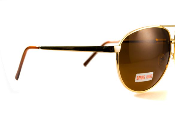 Темные очки с поляризацией BluWater Airforce (brown) (gold metal) Polarized 5 купить