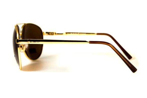 Темные очки с поляризацией BluWater Airforce (brown) (gold metal) Polarized 6 купить