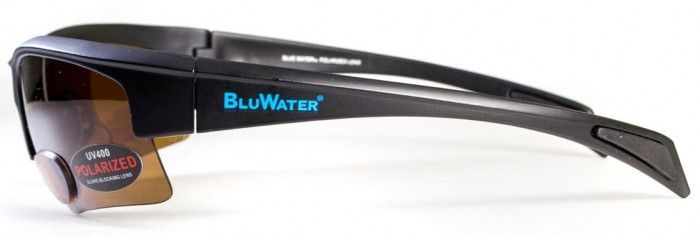 Біфокальні окуляри з поляризацією BluWater Bifocal-2 (+2.5) polarized (brown) 3 купити