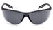 Защитные очки Pyramex Neshoba gray anti-fog 2