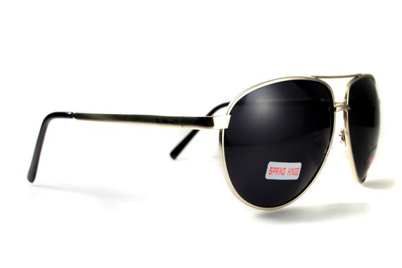 Темные очки с поляризацией BluWater Airforce (gray) (silver metal) Polarized 7 купить
