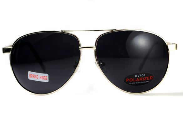 Темні окуляри з поляризацією BluWater Airforce (gray) (silver metal) Polarized 10 купити