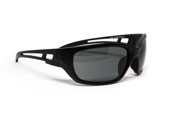 Захисні окуляри з поляризацією BluWater Seaside Polarized (gray) 5 купити