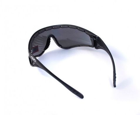 Захисні окуляри з ущільнювачем Global Vision Python (smoke) 4 купити