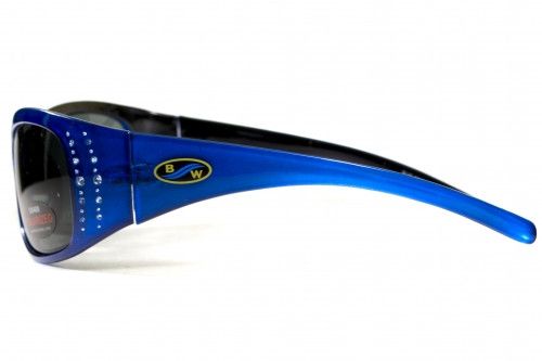 Темные очки с поляризацией BluWater Biscayene polarized (gray) (blue frame) 3 купить