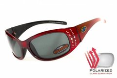 Темные очки с поляризацией BluWater Biscayene polarized (gray) (red frame) 1 купить