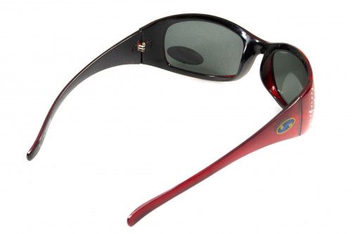 Темные очки с поляризацией BluWater Biscayene polarized (gray) (red frame) 4 купить