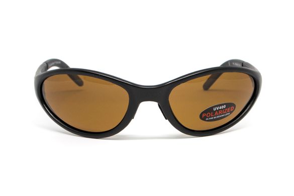 Темные очки с поляризацией BluWater Venice Polarized (brown) в матовой оправе 2 купить