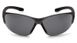 Защитные очки Pyramex Trulock (Gray) 2