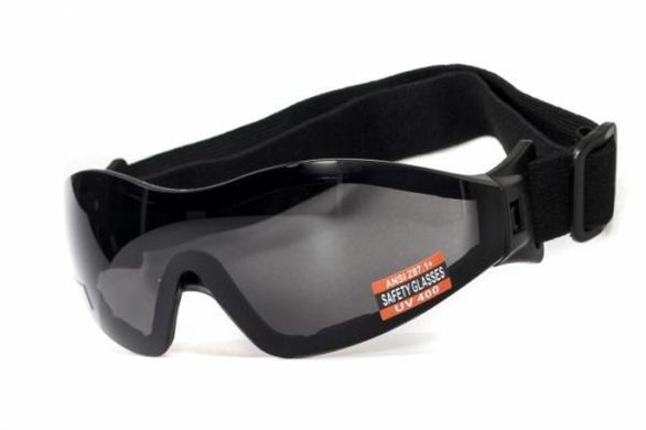 Защитные очки с уплотнителем Global Vision Z-33 (smoke) 4 купить
