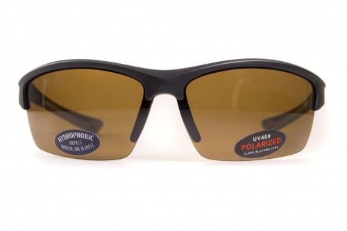 Темні окуляри з поляризацією BluWater Daytona-1 polarized (brown) в чорно-сірій оправі 2 купити