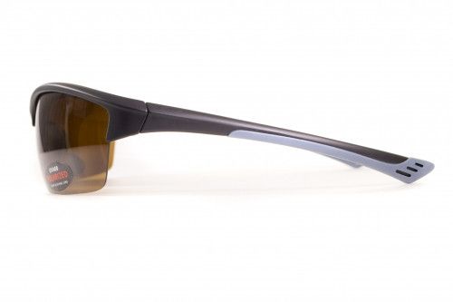 Темні окуляри з поляризацією BluWater Daytona-1 polarized (brown) в чорно-сірій оправі 3 купити