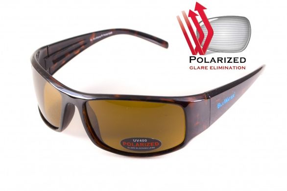 Темні окуляри з поляризацією BluWater Florida-1 polarized (brown) demi 1 купити
