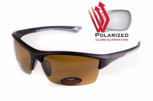Темные очки с поляризацией BluWater Daytona-1 polarized (brown) в чёрно-серой оправе 1 купить