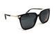 Темні окуляри з поляризацією Alterimage Eyewear Coral Polarized (gray) 1