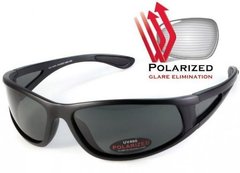 Темные очки с поляризацией BluWater Florida-3 polarized (gray) 1 купить