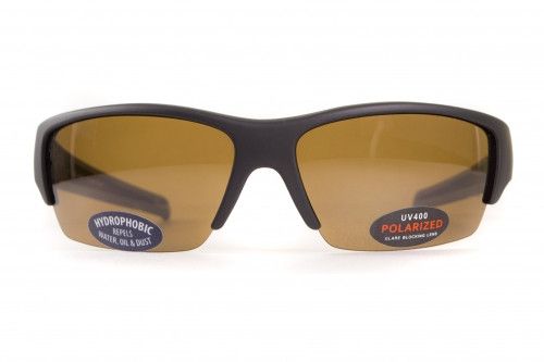Темні окуляри з поляризацією BluWater Daytona-2 polarized (brown) в чорно-сірій оправі 2 купити