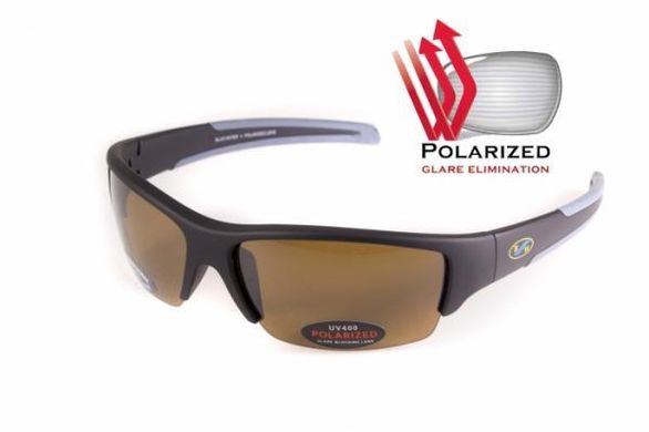 Темні окуляри з поляризацією BluWater Daytona-2 polarized (brown) в чорно-сірій оправі 1 купити