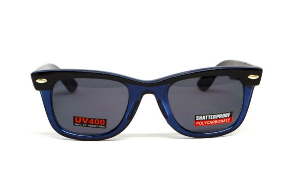 Захисні окуляри Swag Hipster-4 Blue (gray) 4 купити