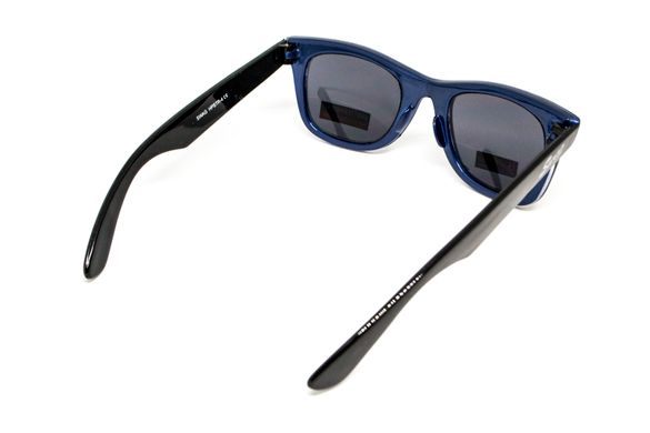 Захисні окуляри Swag Hipster-4 Blue (gray) 6 купити