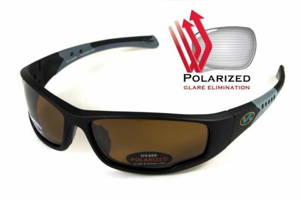 Темні окуляри з поляризацією BluWater Daytona-3 polarized (brown) в чорно-сірій оправі 1 купити