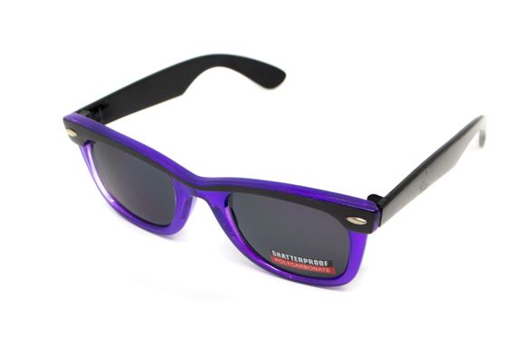 Захисні окуляри Swag Hipster-4 Purple (gray) 2 купити