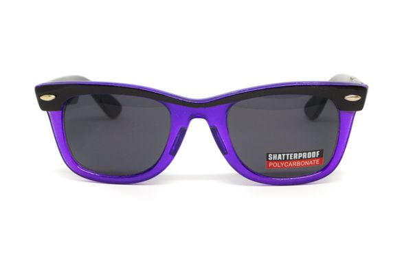 Захисні окуляри Swag Hipster-4 Purple (gray) 3 купити