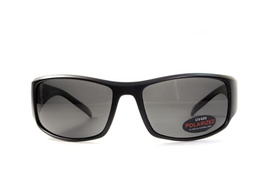 Темні окуляри з поляризацією BluWater Florida-1 polarized (gray) 2 купити