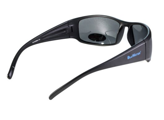 Темные очки с поляризацией BluWater Florida-1 polarized (gray) 4 купить