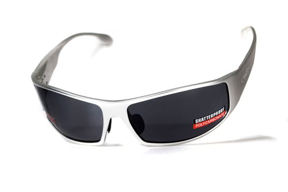 Захисні окуляри Global Vision Bad-Ass 1 silver metal (Gray) 6 купити